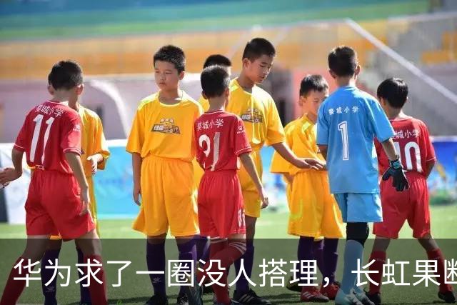 华为求了一圈没人搭理，长虹果断接盘